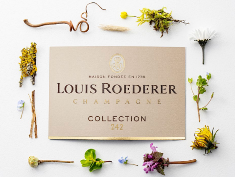 Louis Roederer, Collection 242 NV Champagne | JancisRobinson.com